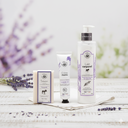 COFRE BIENESTAR - LAVANDA