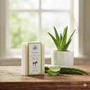 JABÓN (DUO) 115G LECHE DE BURRA - ALOE VERA 