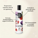 ACONDICIONADOR CABELLO GRASO