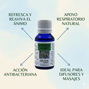 ACEITE ESENCIAL DE EUCALIPTO CRUDO 15 ML