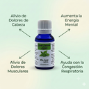 ACEITE ESENCIAL DE MENTA 15 ML