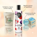 CAPILAR CABELLO GRASO
