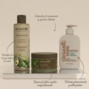 CAPILAR AGUACATE CANNABIS