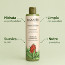 GEL HIDRATACIÓN PROFUNDA -ALOE VERA 350ML