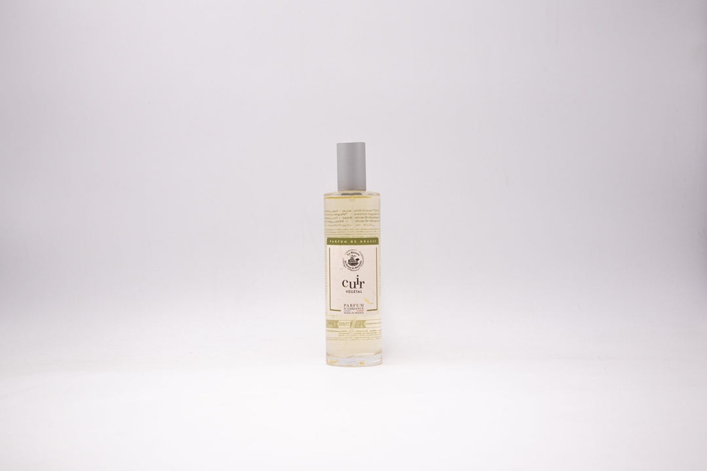 AMBIENTADOR HOGAR 100ML - CUERO VEGETAL