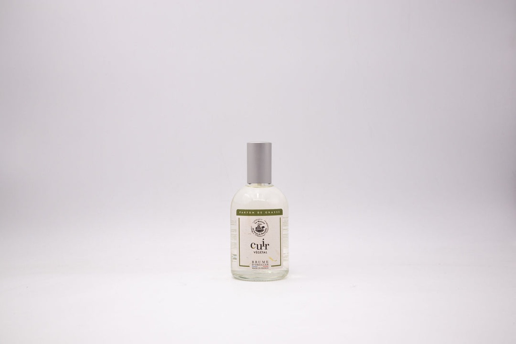 BRUMA DE ALMOHADA 100ML - CUERO VEGETAL