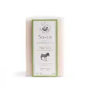 JABÓN (DUO) 115G LECHE DE BURRA - ALOE VERA 